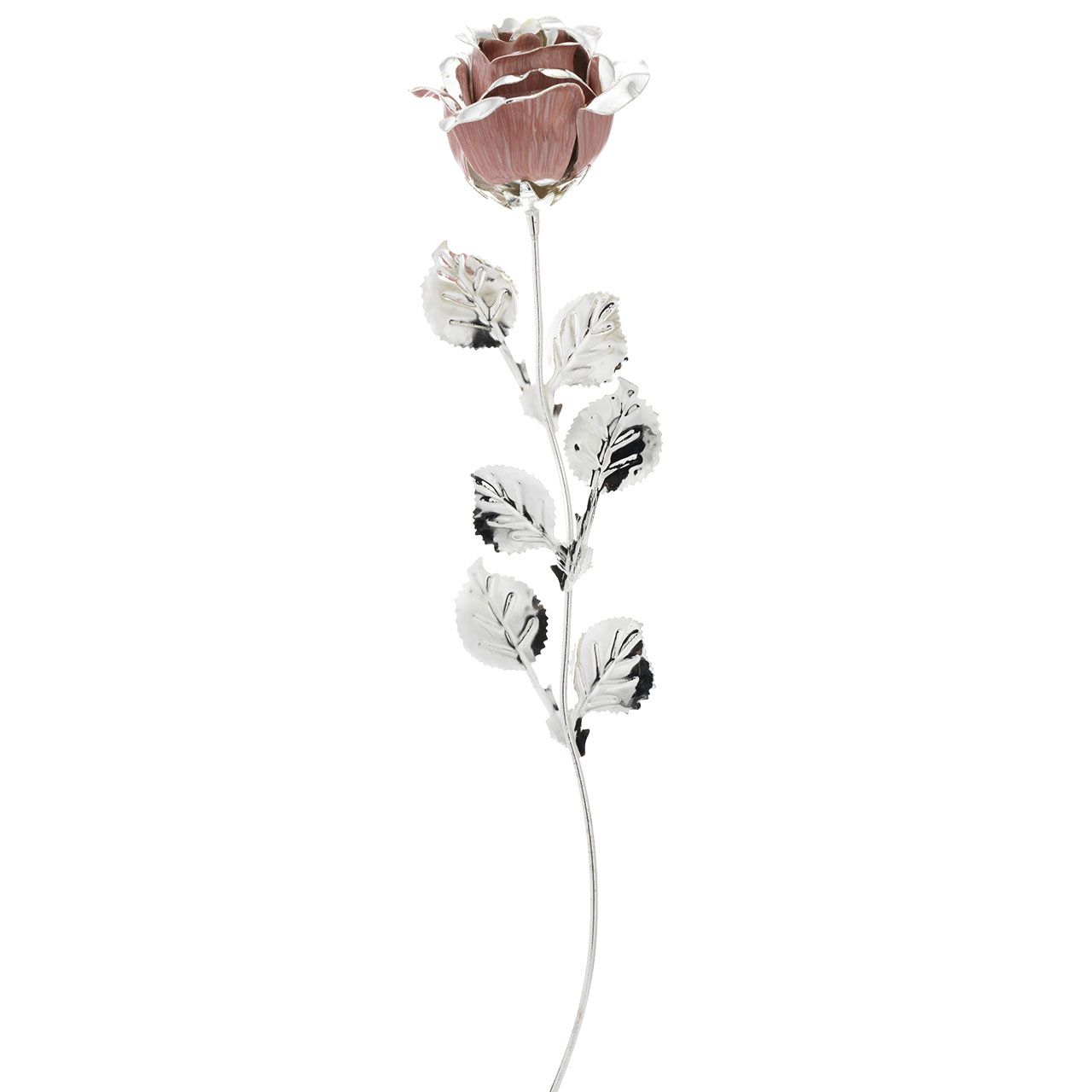 3x ROSA CM 39 - ROSA (WITHOUT PACK)